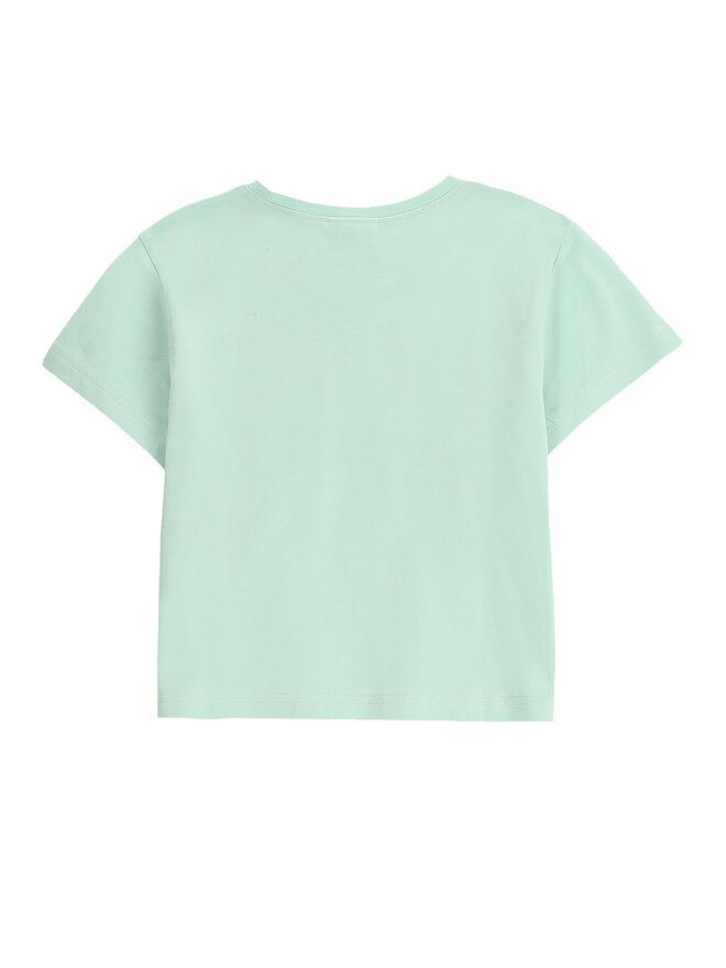 Coccodrillo Coccodrillo Футболка WC5143203HGJ Зелений Regular Fit