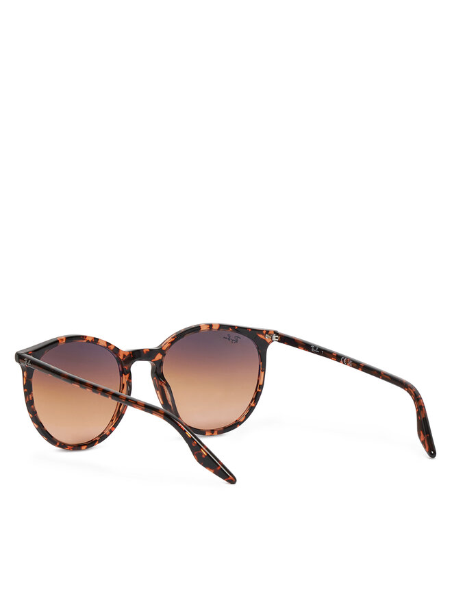 Ray-Ban Sonnenbrillen Ray-Ban 0RB2204 14293B Braun