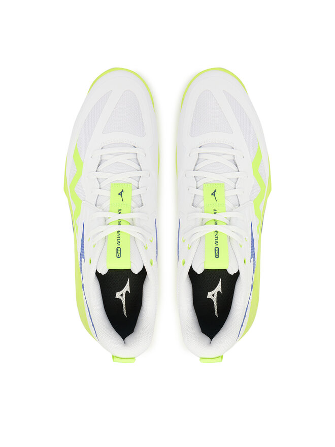 Mizuno Hallenschuhe Mizuno Wave Momentum Pro V1GA2540 39 Weiß