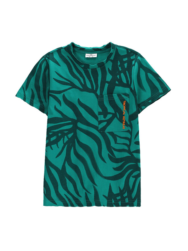 Coccodrillo Coccodrillo Póló WC5143202TBJ Zöld Regular Fit