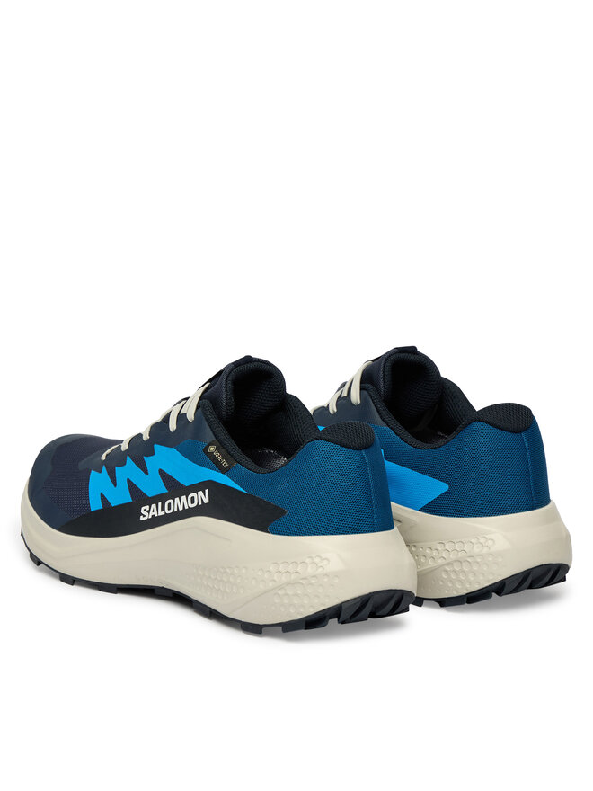 Salomon Laufschuhe Salomon Alphaglide Gtx L47975100 Blau