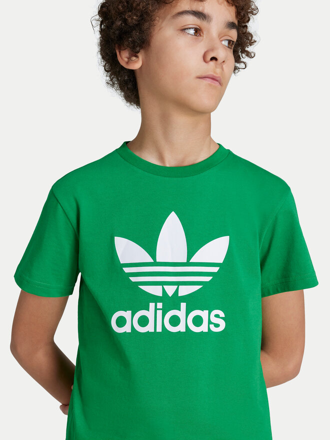 adidas adidas Camiseta Trefoil IY4003 Verde Regular Fit