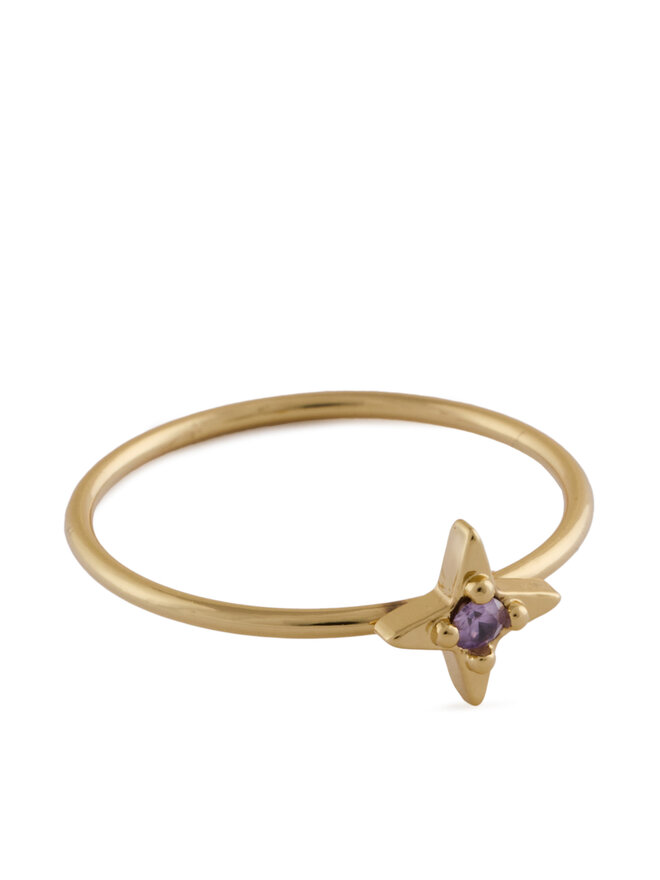 Aldo Set de 5 anillos Aldo Comfort 13994834 Oro