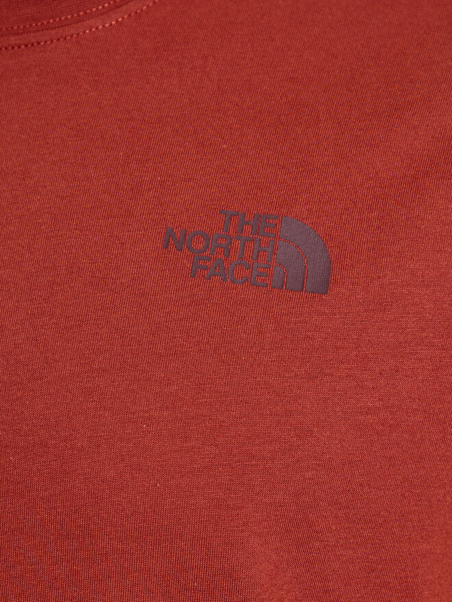 The North Face The North Face Marškinėliai Redbox Celebration NF0A7X1K Ruda Regular Fit