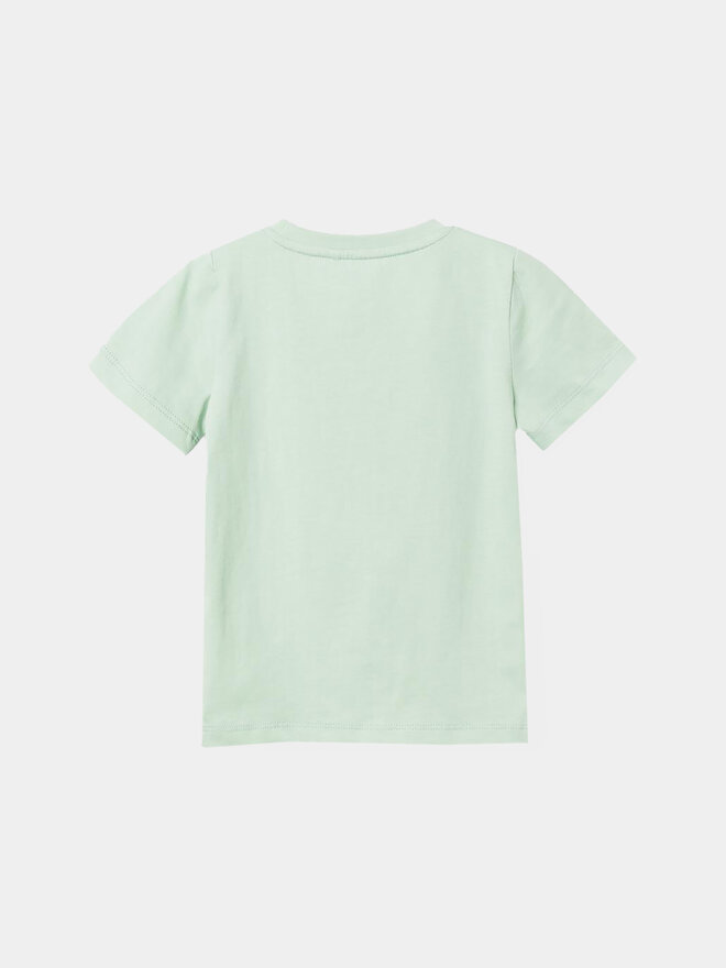 NAME IT NAME IT Marškinėliai Dante 13228559 Žalia Regular Fit
