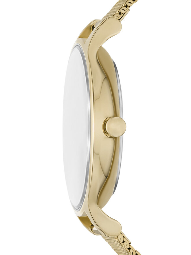 Skagen Zegarek Skagen Anita Lille SKW3145 Zielony