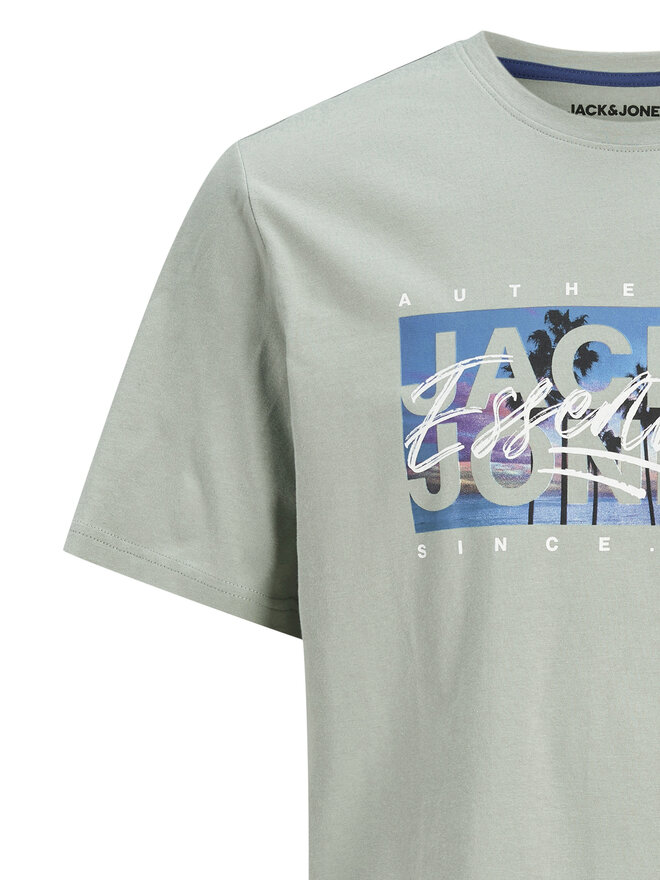 Jack&Jones Jack&Jones T-Shirt Colton 12268438 Grün Standard Fit