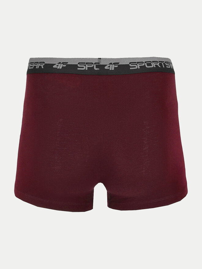 4F 4F 2er-Set Boxershorts 4FWSS24UBXSM036 Bunt