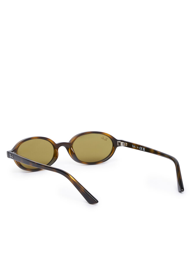 Ray-Ban Sonnenbrillen Ray-Ban 0RB4472 Braun