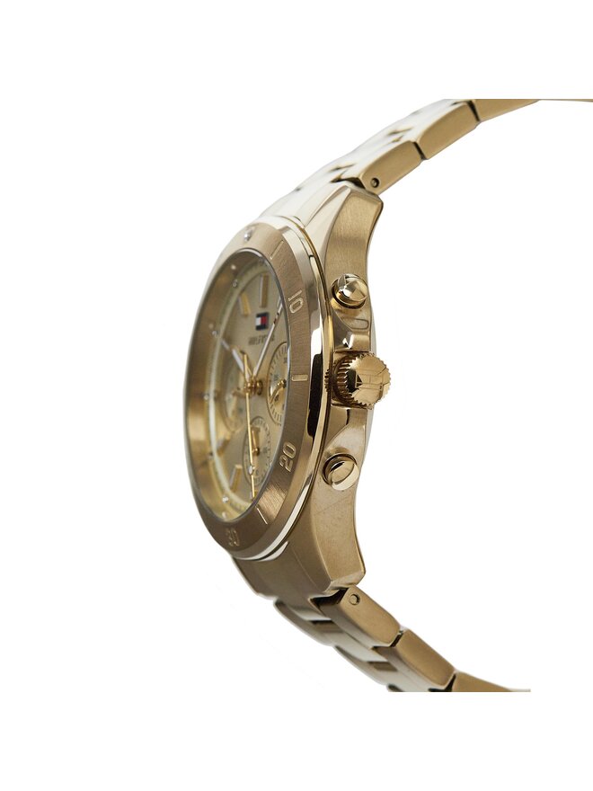 Tommy Hilfiger Ceas Tommy Hilfiger Aspen 1782640 Auriu