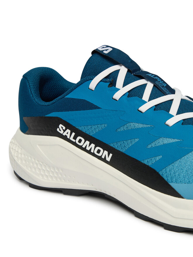 Salomon Взуття для бігу Salomon Alphaglide L48000400 Голубий
