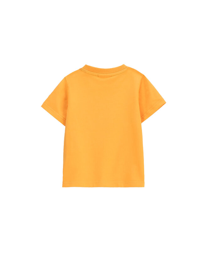 Coccodrillo Coccodrillo Camiseta WC5143202DBN Naranja Regular Fit