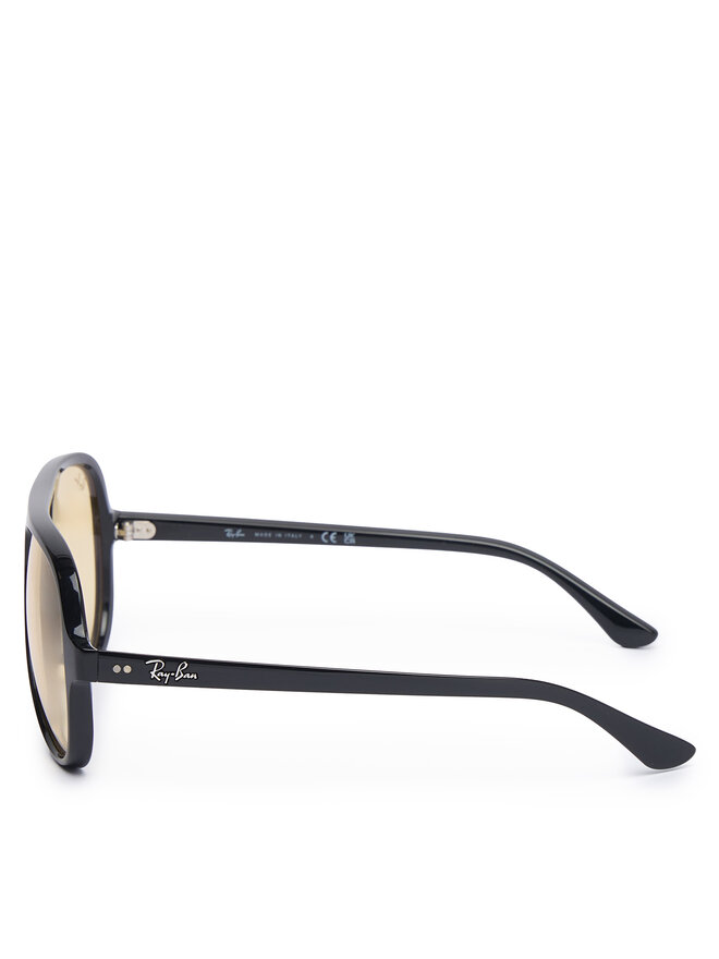 Ray-Ban Sonnenbrillen Ray-Ban 0RB4125 Schwarz