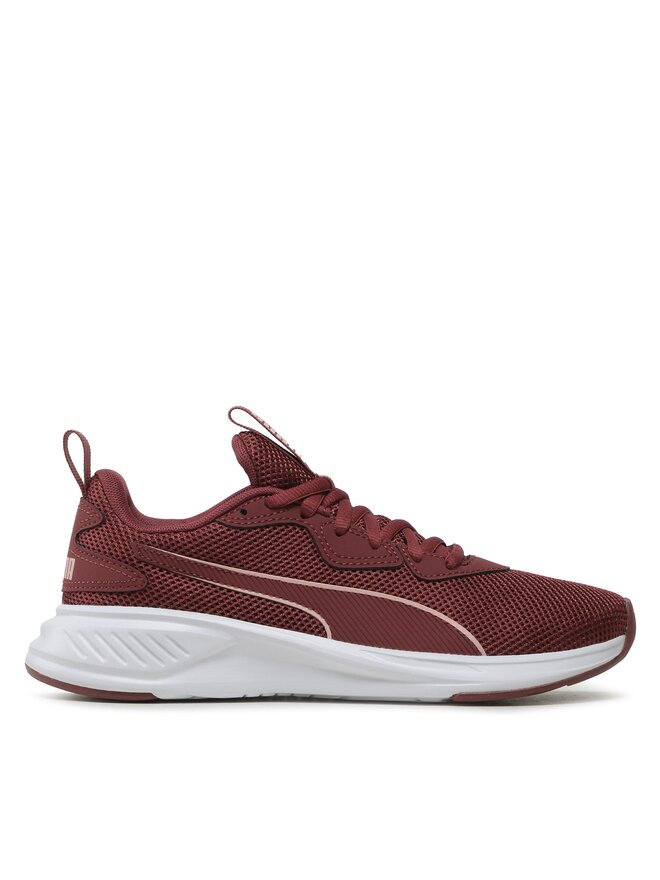 Puma violette outlet