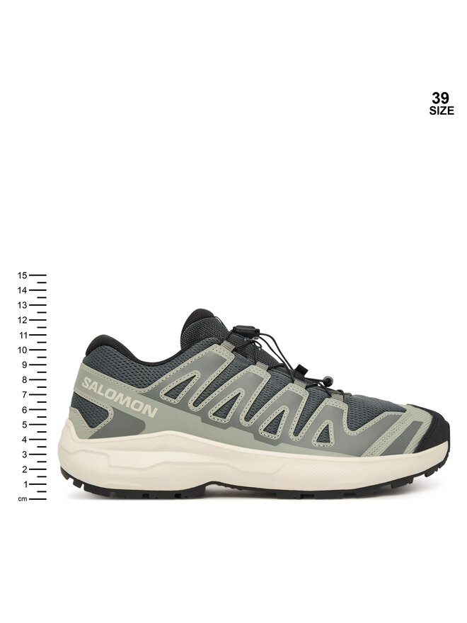 Salomon Laufschuhe Salomon Xa Pro L45408000 Grau
