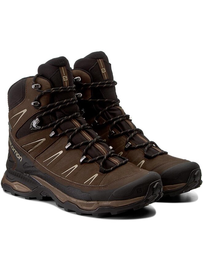 Salomon x ultra trek gtx brown best sale