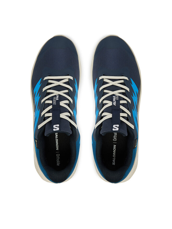 Salomon Laufschuhe Salomon Alphaglide Gtx L47975100 Blau