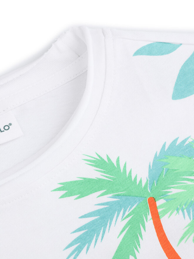 Coccodrillo Coccodrillo Camiseta WC5143203TBK De color Regular Fit