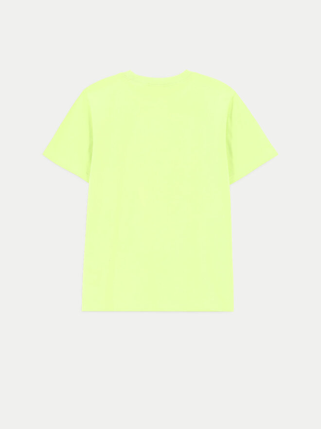 Coccodrillo Coccodrillo Футболка ZC4143202VBA Зелений Regular Fit