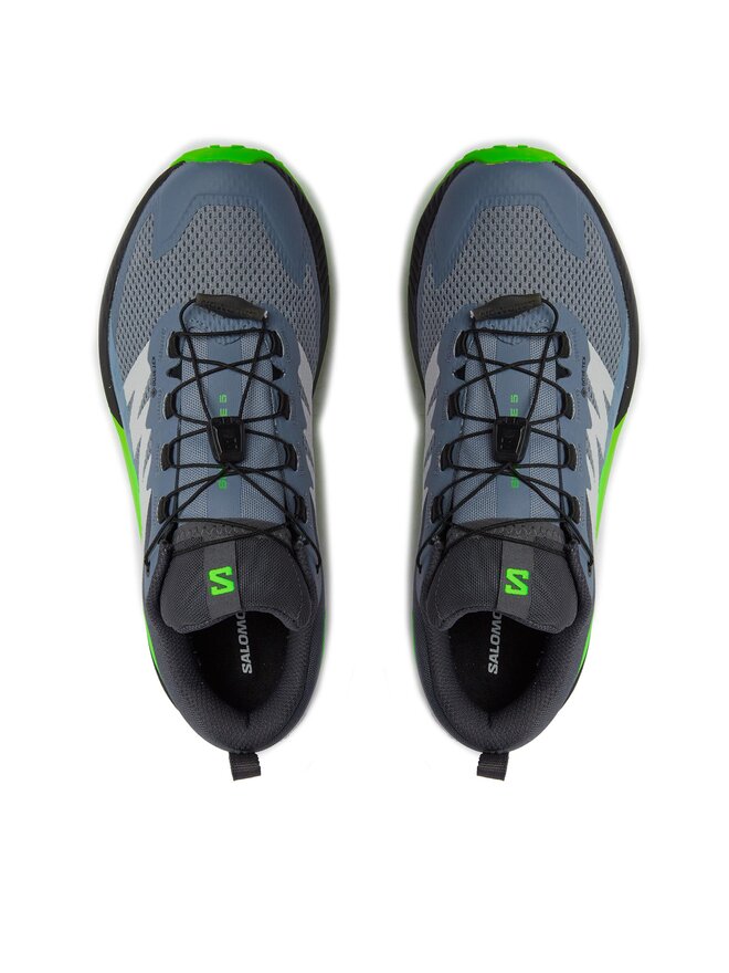 Salomon Взуття для бігу Salomon Sense Ride 5 GORE-TEX L47312800 Голубий
