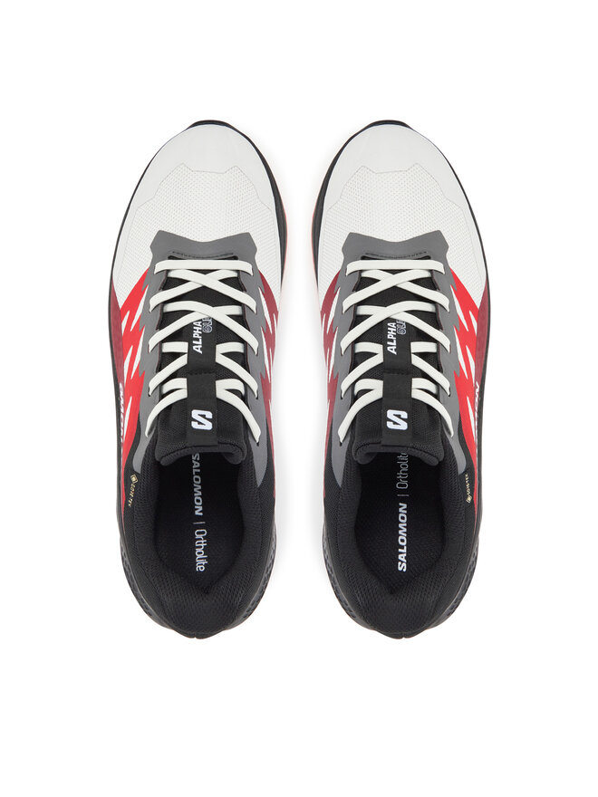 Salomon Běžecké boty Salomon Alphaglide Gore-Tex L47802200 Šedá