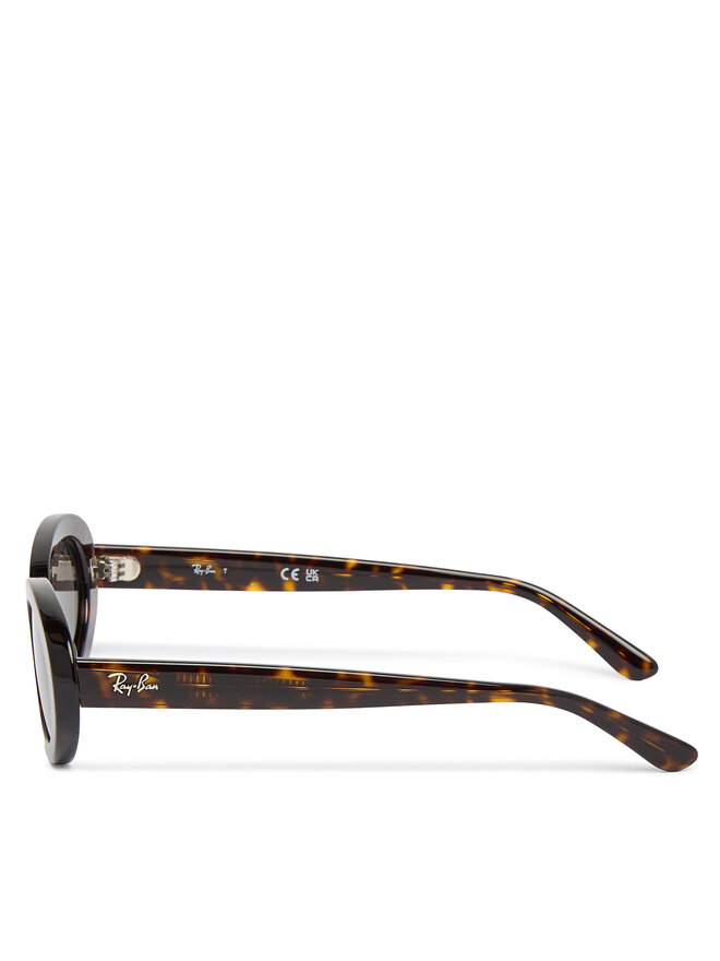 Ray-Ban Sonnenbrillen Ray-Ban 0RB2223 Braun