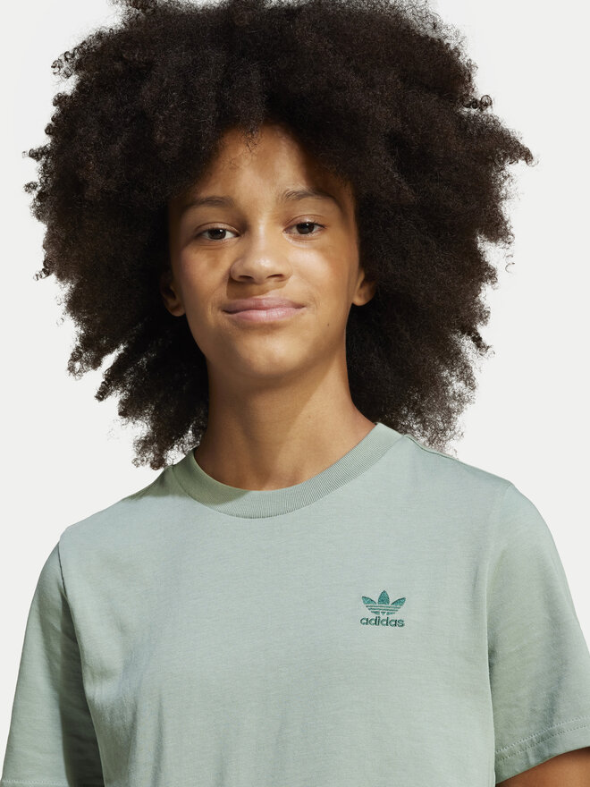 adidas adidas Marškinėliai JC8418 Žalia Regular Fit