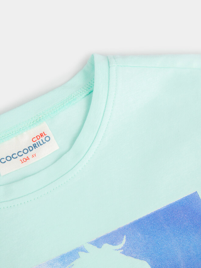 Coccodrillo Coccodrillo Футболка WC4143202VGA Зелений Regular Fit