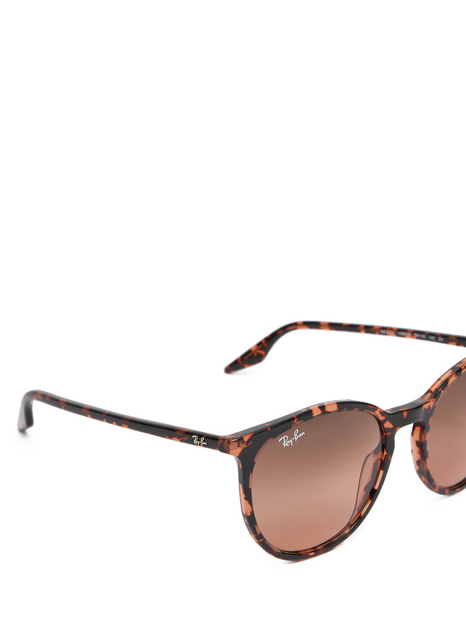 Ray-Ban Sonnenbrillen Ray-Ban 0RB2204 14293B Braun