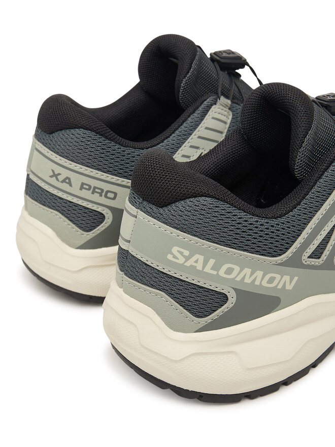Salomon Laufschuhe Salomon Xa Pro L45408000 Grau