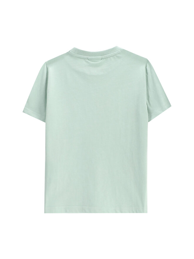 Coccodrillo Coccodrillo Camiseta WC5143202WBK Verde Regular Fit