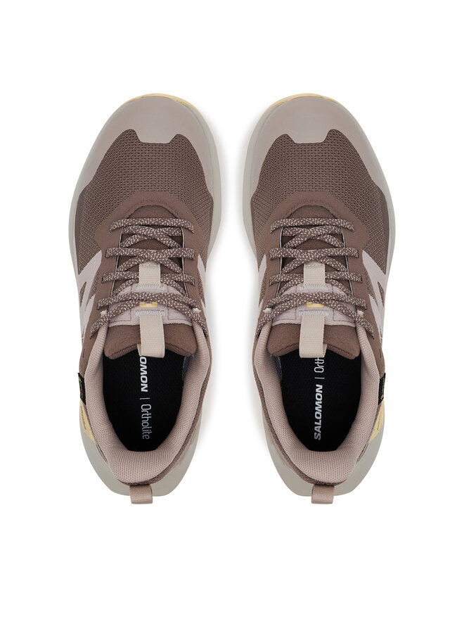 Salomon Trekking Salomon Elixir Activ Gore-Tex L47760100 Smeđa