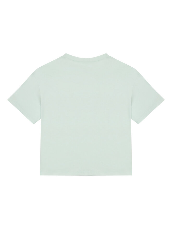 United Colors Of Benetton United Colors Of Benetton Marškinėliai 35RYC10MV Žalia Boxy Fit