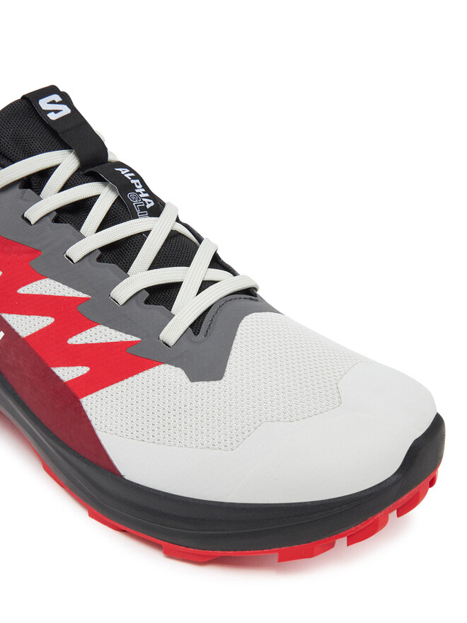 Salomon Buty do biegania Salomon Alphaglide Gore-Tex L47802200 Szary