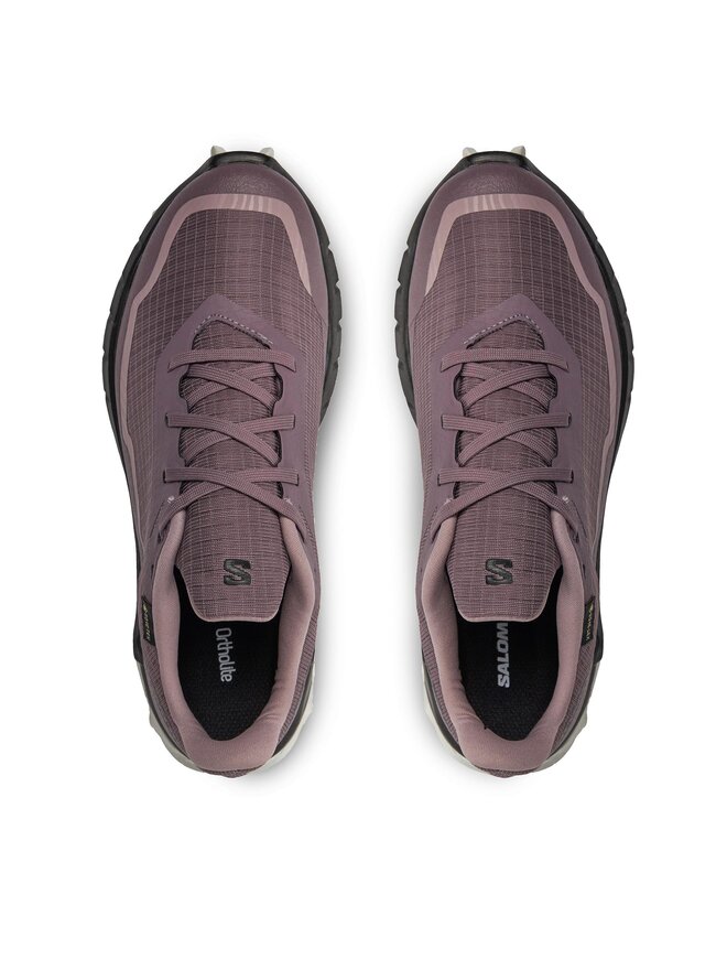 Salomon Laufschuhe Salomon Alphacross 5 Gtx W GORE-TEX 473110 23 W0 Violett