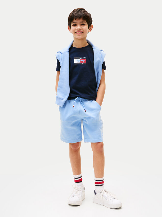 Tommy Hilfiger Tommy Hilfiger Majica Script Flag KB0KB09725 Mornarsko modra Regular Fit