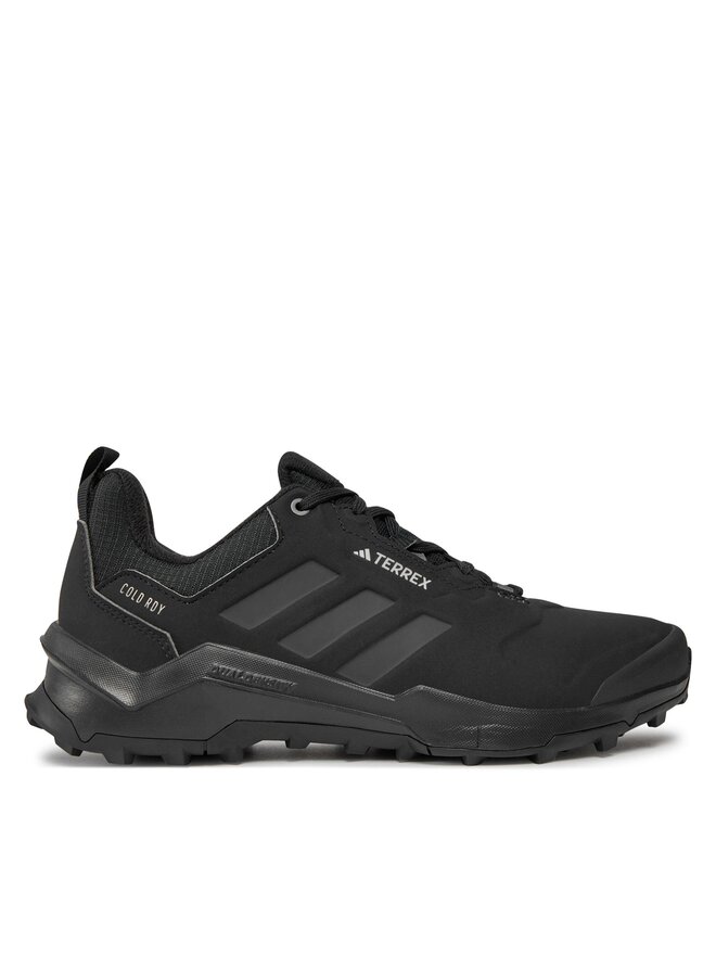 Adidas mountain shoes online