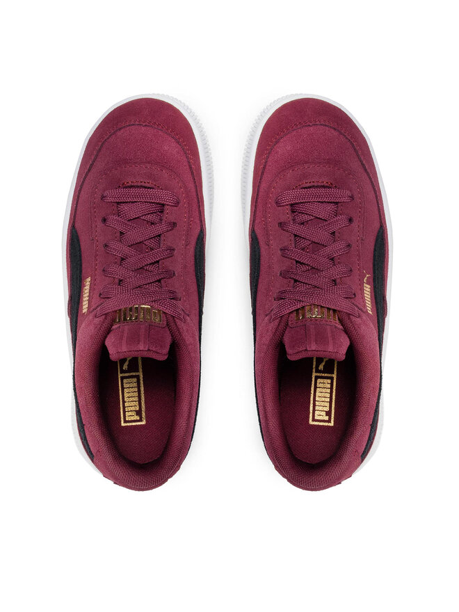 Burgundy pumas noticias outlet