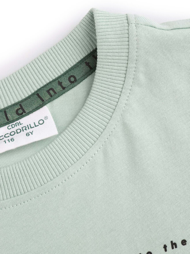Coccodrillo Coccodrillo Majica WC5143202WBK Zelena Regular Fit