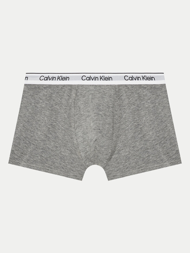 Calvin Klein Underwear Calvin Klein Underwear 2er-Set Boxershorts B70B700506 Bunt