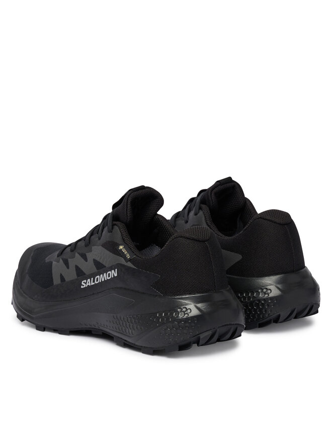 Salomon Laufschuhe Salomon Alphaglide Gtx W L49214400 Dunkelblau