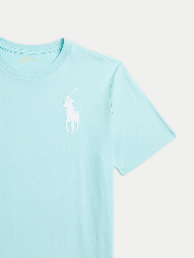 Polo Ralph Lauren Polo Ralph Lauren Camiseta 323832907064 Azul Regular Fit