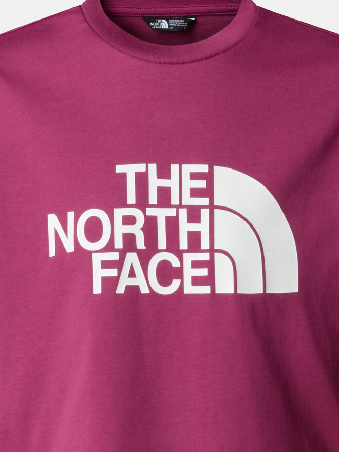 The North Face The North Face Marškinėliai Easy NF0A8DRQ Rožinė Relaxed Fit