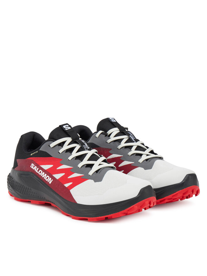 Salomon Pantofi pentru alergare Salomon Alphaglide Gore-Tex L47802200 Gri