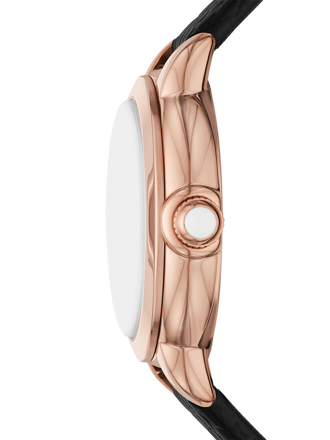 Emporio Armani Ročna ura Emporio Armani Mia AR11631 Zlata