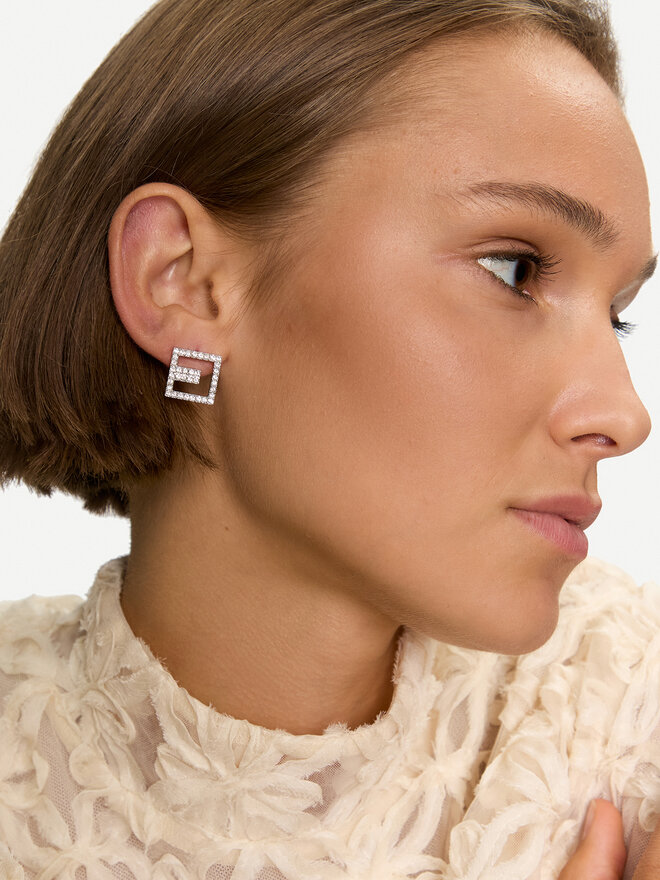 Elisabetta Franchi Pendientes Elisabetta Franchi OR-25-B46E2-V200 Plata