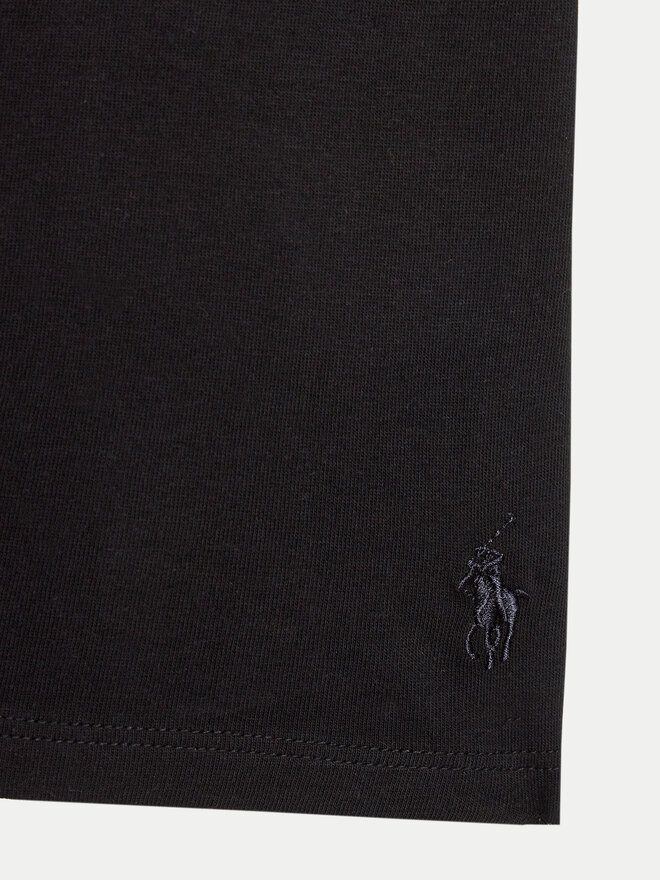 Polo Ralph Lauren Polo Ralph Lauren Set 2 majice 9P5006 Šarena Regular Fit