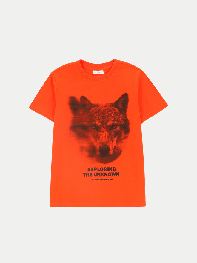 Coccodrillo Coccodrillo Camiseta ZC4143201FBJ Rojo Regular Fit