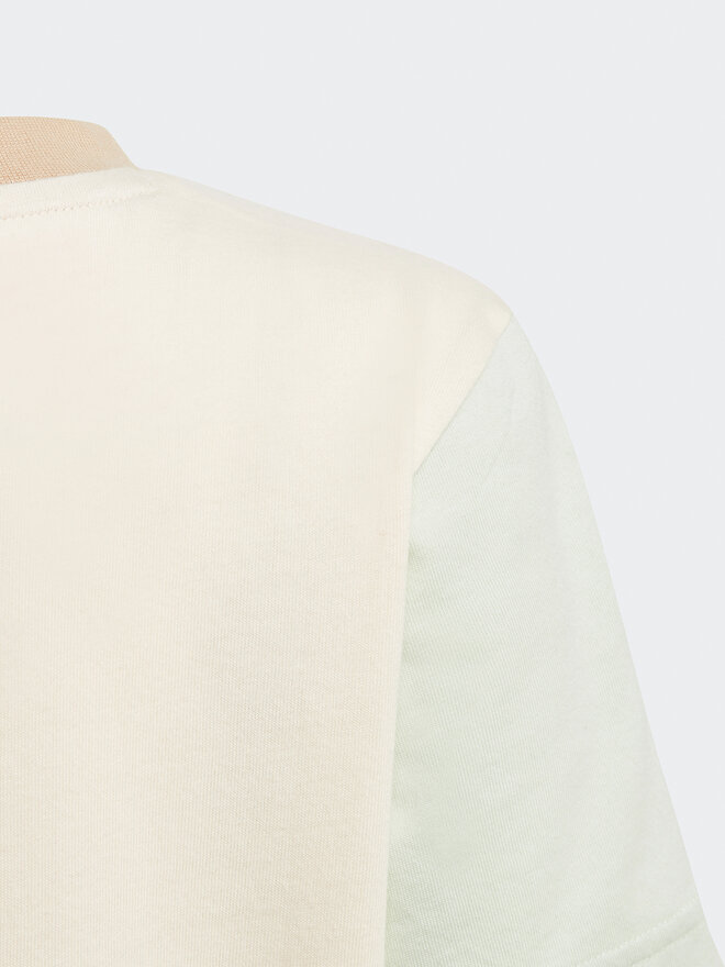 adidas adidas Футболка Colourblock T-Shirt HK9819 Бежевий Regular Fit
