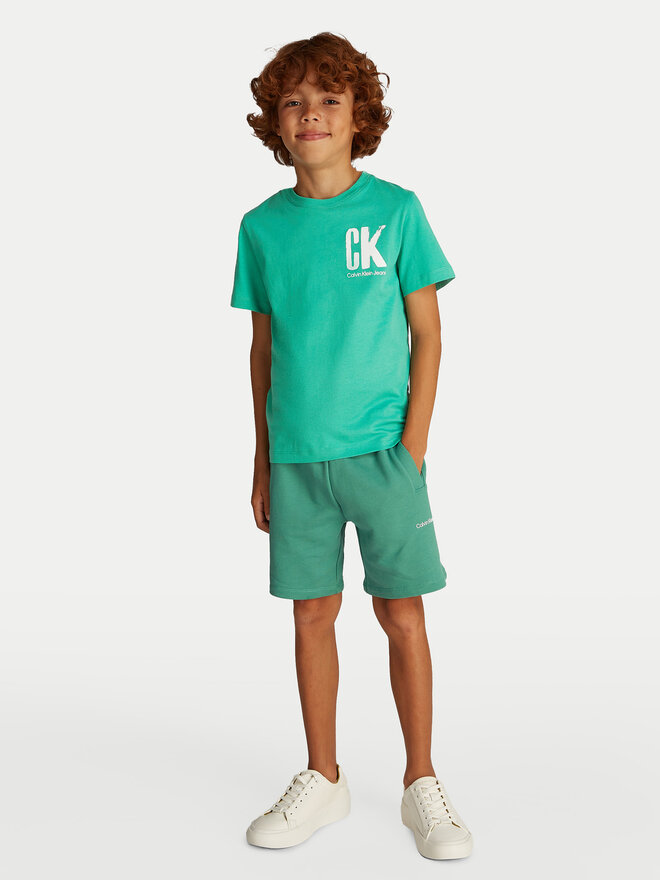 Calvin Klein Jeans Calvin Klein Jeans Футболка Surf Graphic IB0IB02447 Зелений Regular Fit